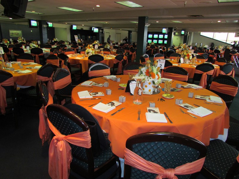 Turf Paradise, photo 5